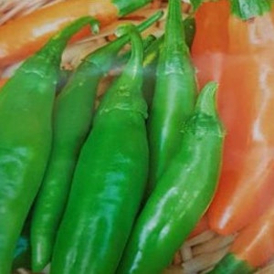 Medium hot pepper &quot; Ribki &quot; orange variety , Bulgarian Chilli Pepper, Hot Chilli | Heirloom, Open Pollinated, Non GMO |  10 seeds pack