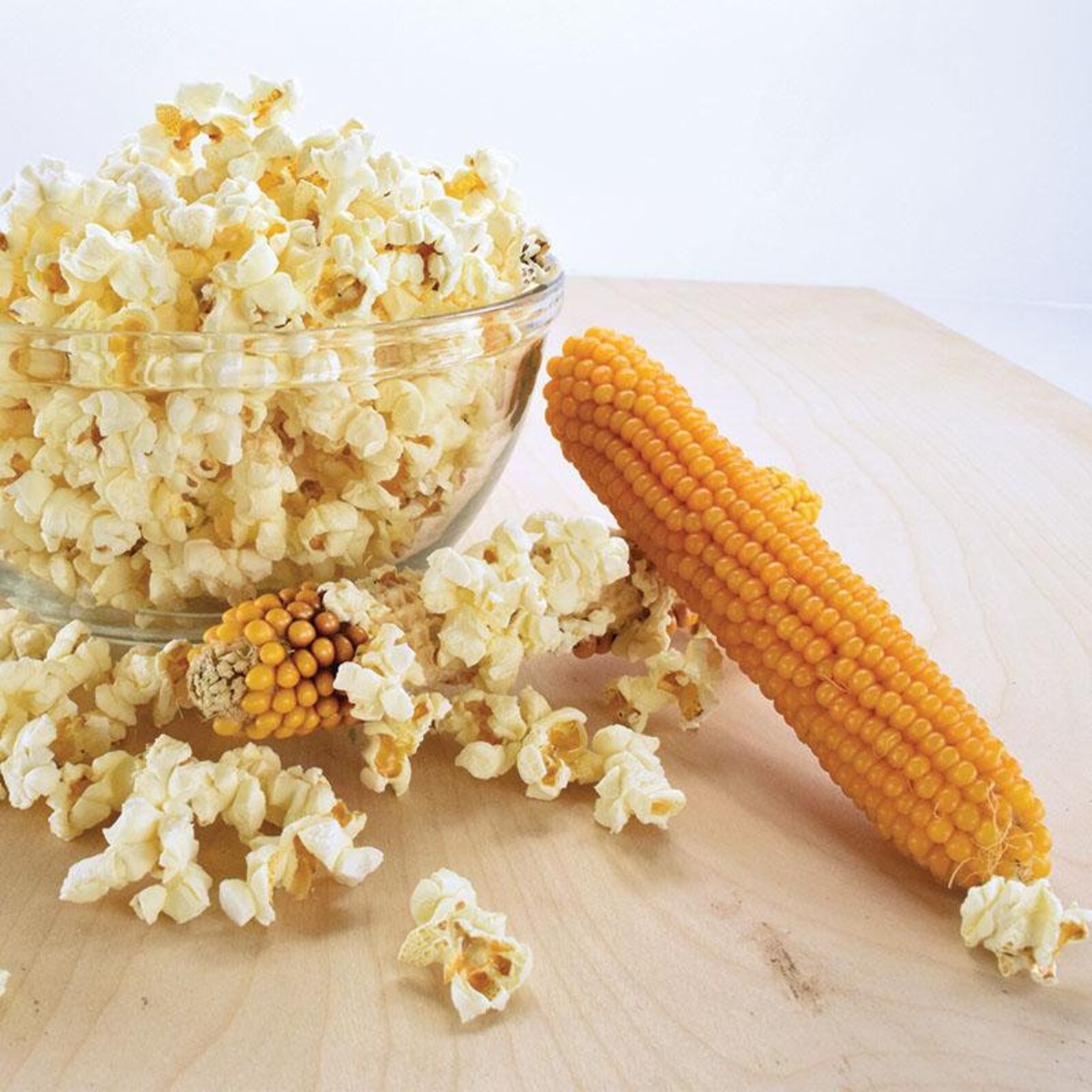 Popcorn Seeds Popping Corn Seeds plomyk Etsy