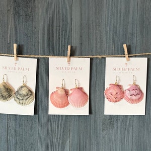 May include: Five pairs of shell earrings displayed on cards with the text "Silver Palm Jewelry Co."  The earrings are made from natural seashells in various colors, including pink, orange, and gray.