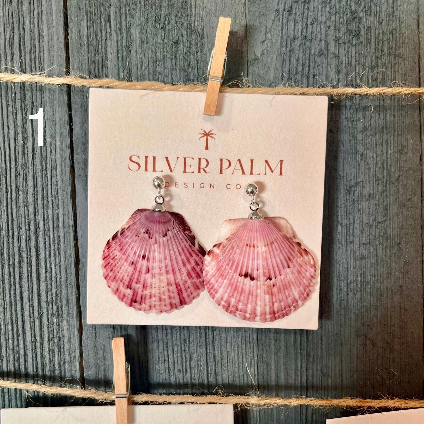 Small Florida Calico Scallop Dangle (silver Ball Stud) - Etsy