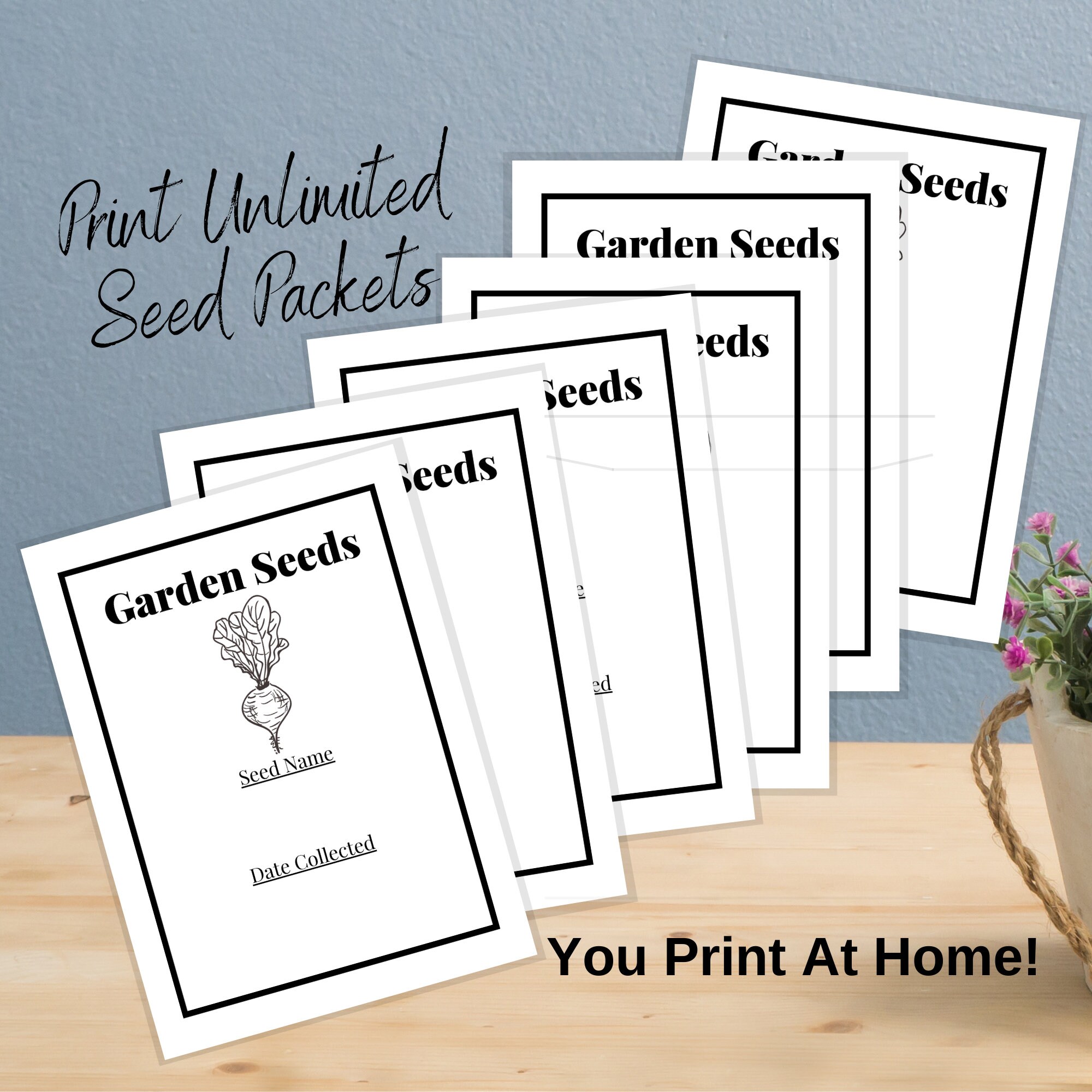 Radish Vegetable Garden Seeds Packets Printable for Saving - Etsy