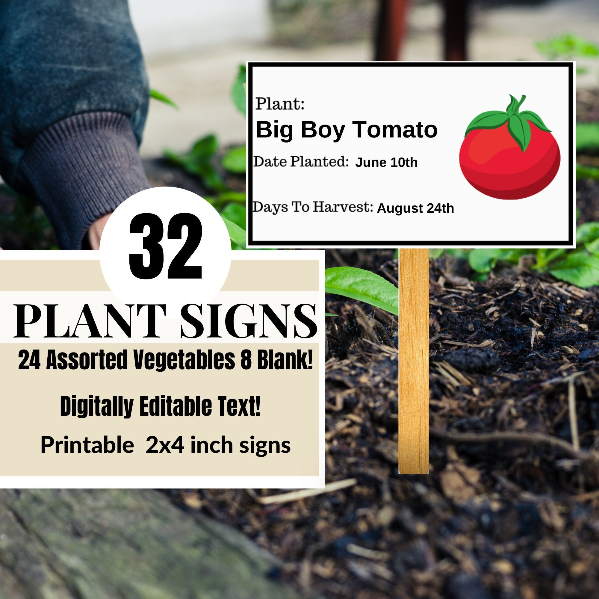 Editable Garden Stakes Plant Label Markers for Vegetables Etsy