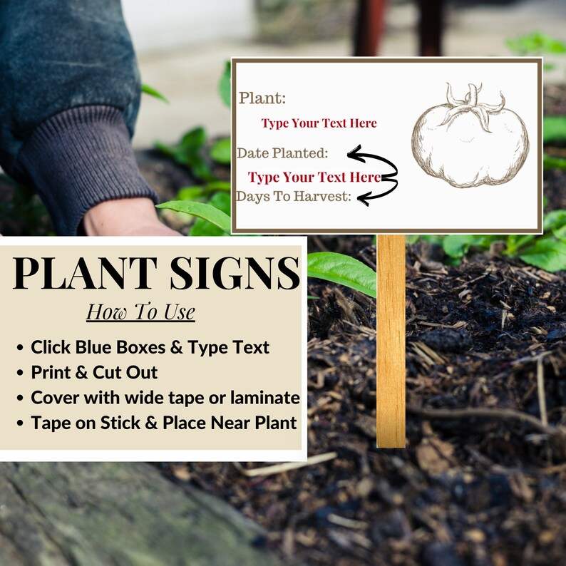 Editable Garden Stakes Plant Label Markers for Vegetables Etsy