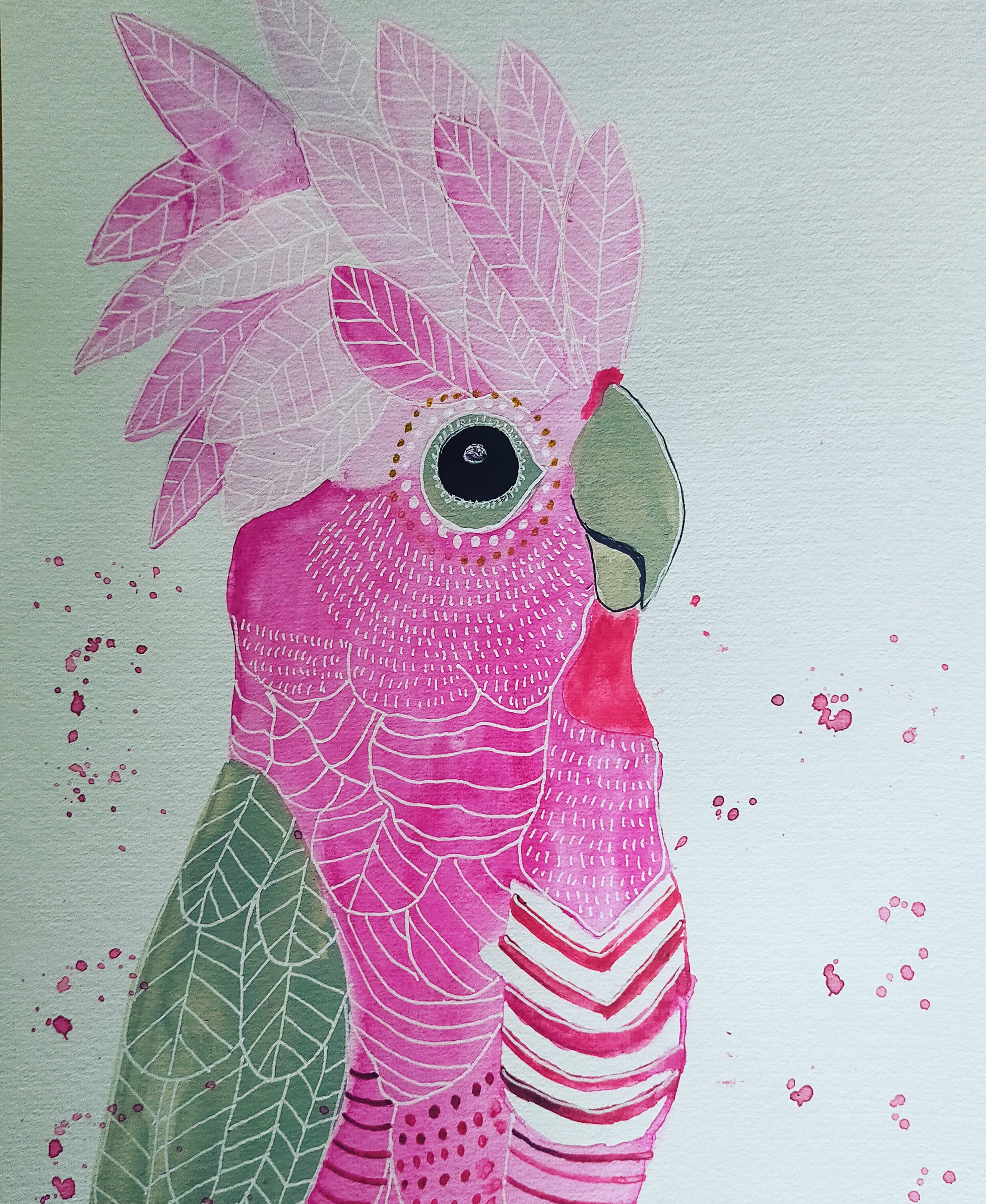 Abstract Galah Watercolour Painting Bird Art Etsy