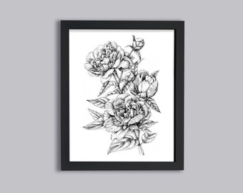 Peony Sketch Print, DIGITAL DOWNLOAD, Botanical Illustration, Flower Drawing, Floral Décor, Ink Print, Art Print, Printable DIY File
