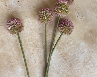 Faux pink alium