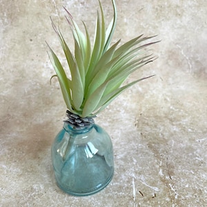 Artificial succulent