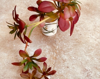 Artificial natural looking aeonium succulent with trails