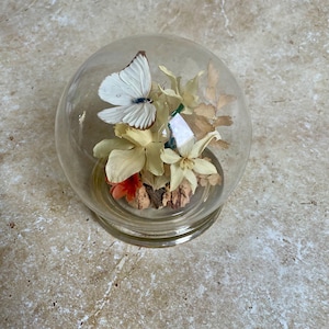 Pequena esfera de vidro com flores e borboletas preservadas