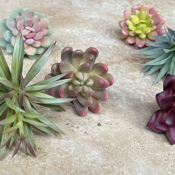 Artificial succulents