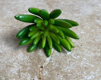 Realistic Artificial Succulent, Jelly Bean Style