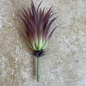 Artificial succulent