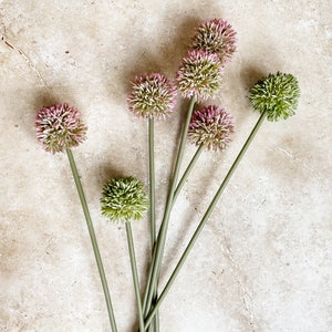 Puede incluir: Un ramo de siete tallos de flores artificiales con cabezas de flores redondas verdes y rosas. Los tallos son verdes y las flores están dispuestas en forma de abanico.