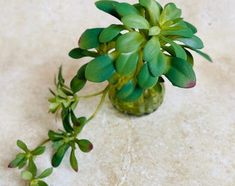 Artificial natural looking aeonium succulent with trails