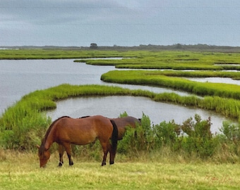 Assateague Island Wild Horses Art Print: Seaside Giclée Reproduction
