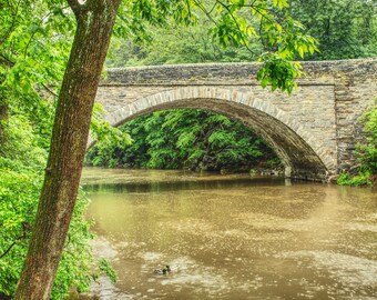 Wissahickon Creek Art Print: Valley Green Bridge, Philadelphia Spring Landscape