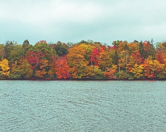 Art Print: Autumn Leaves By a Pocono Lake, a color landscape photograph