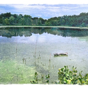 May include: A watercolor painting of a calm lake scene. The water is a mix of green and blue, with a log floating in the center. Lush green trees line the horizon under a cloudy sky.