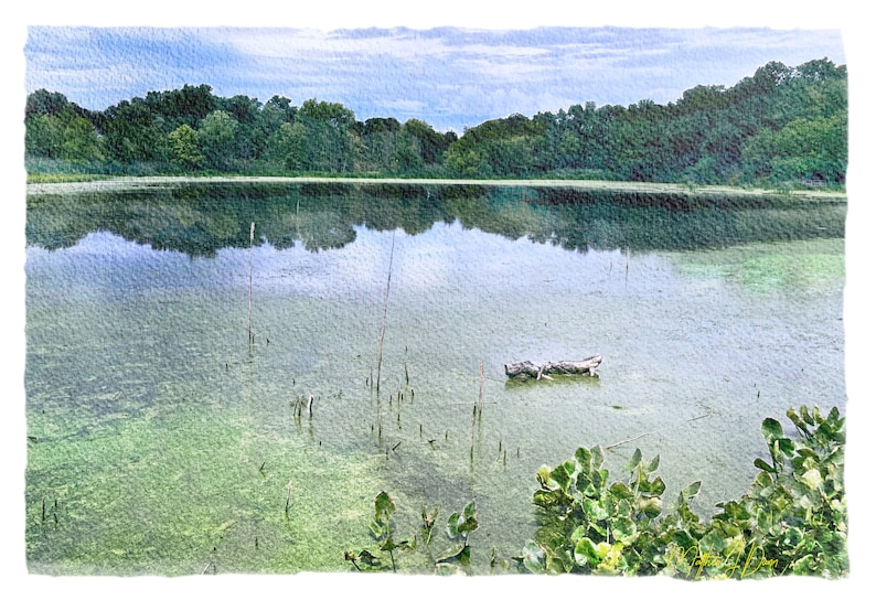 May include: A watercolor painting of a calm lake scene. The water is a mix of green and blue, with a log floating in the center. Lush green trees line the horizon under a cloudy sky.