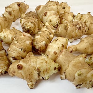 20 Jerusalem Artichoke Tubers: Sunchokes for Planting