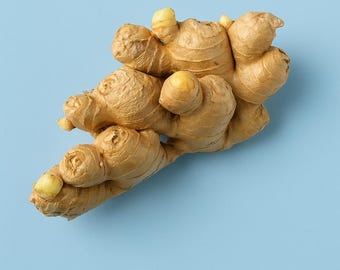 Live Ginger Root - Organic Sprouting Ginger Rhizomes for Planting