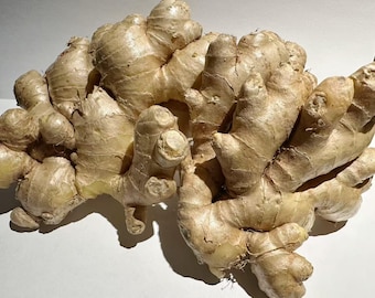 Fresh Ginger Root Organic - Jengibre Organico