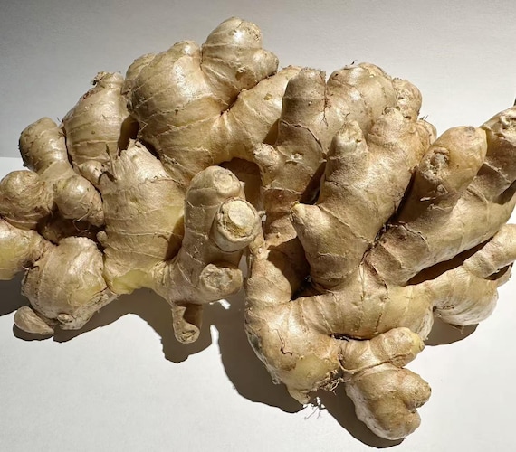 Fresh Organic Ginger Root