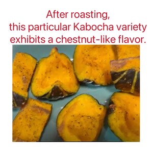 JAPANESE KABOCHA Pumpkin Seeds image 3