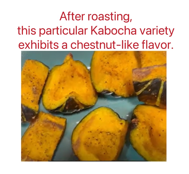 JAPANESE KABOCHA Pumpkin Seeds image 3