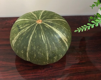 JAPANESE KABOCHA Pumpkin Seeds