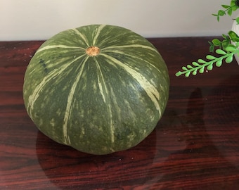 JAPANISCHE KABOCHA-Kürbiskerne