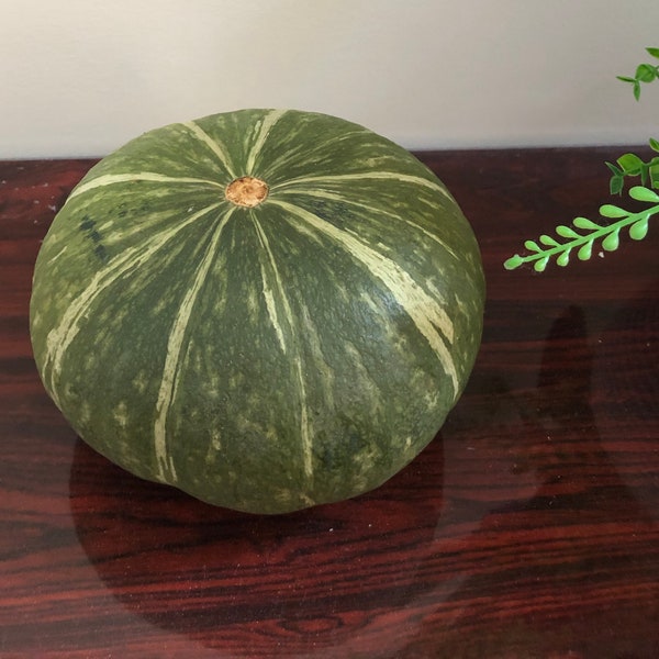 JAPANESE KABOCHA Pumpkin Seeds