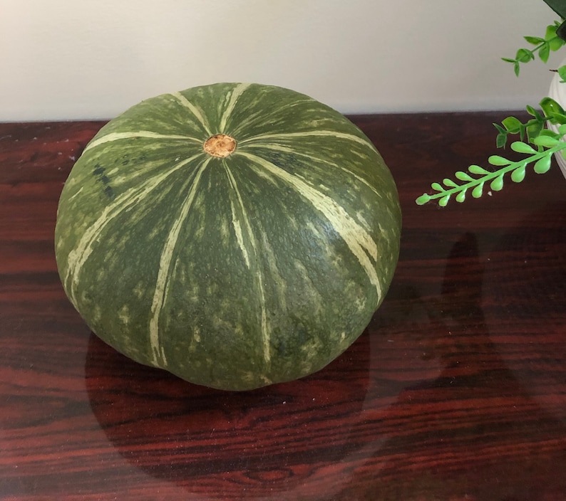 JAPANESE KABOCHA Pumpkin Seeds image 1