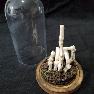 Grave Gestures - Skeletal Skeleton Hand Gestures - Custom Gothic gifts, Spooky Gifts, Halloween Gifts