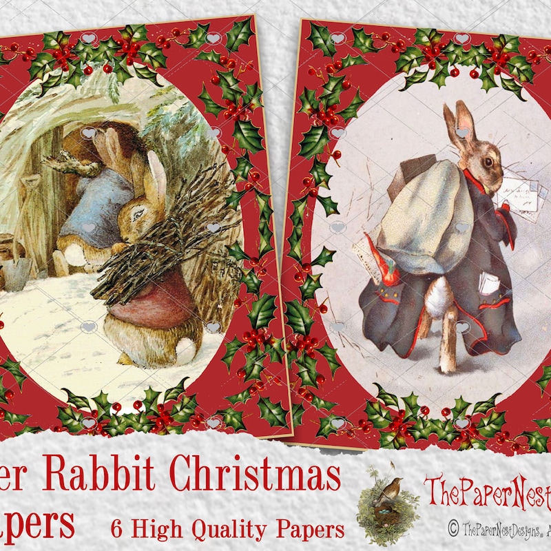 Beatrix Potter Cards - Etsy