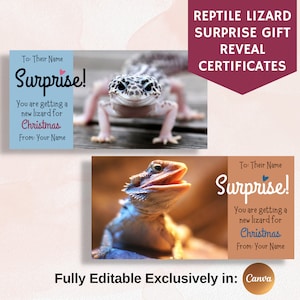 Certificado de regalo de reptil, el mejor regalo de Navidad, tarjeta de regalo sorpresa, anuncio de lagarto como mascota, totalmente editable en Canva