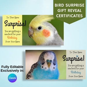 Chèque cadeau oiseau, carte-cadeau surprise, faire-part pour obtenir un oiseau de compagnie, entièrement modifiable sur Canva, cadeau d'anniversaire de vacances
