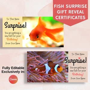 Certificato di presentazione del regalo di pesce, buono regalo a sorpresa, annuncio di avere un pesce domestico, completamente modificabile in Canva, regalo di compleanno, festa, anniversario