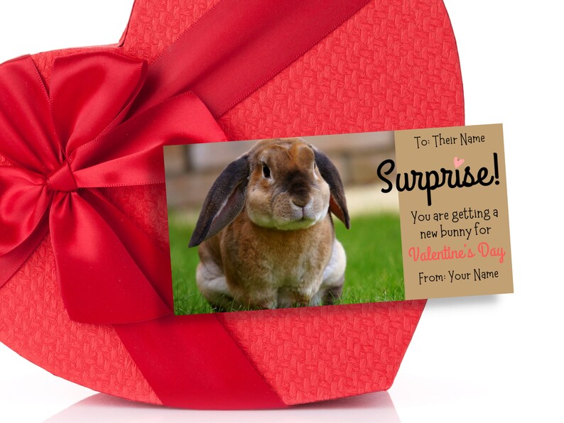 Bunny Rabbit Gift Reveal Certificate, Best Valentine's Day Gift Card ...