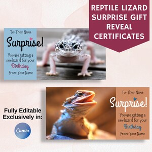 Certificado de presente de réptil, cartão-presente surpresa, anúncio de lagarto de estimação, Canva totalmente editável, presente de aniversário para lagartixa