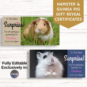 Cadeaubon voor hamster en cavia, beste kerstcadeau, verrassingscadeaukaart, aankondiging nieuw huisdier, volledig bewerkbaar in canvas