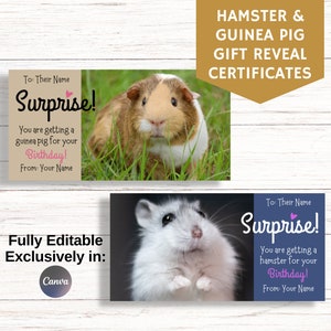 Certificado de regalo para hámster y cobaya, tarjeta de regalo sorpresa, anuncio de mascota, totalmente editable en Canva, regalo de cumpleaños, Pascua y Navidad.