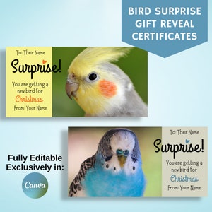 Chèque cadeau oiseau, Meilleur cadeau de Noël, carte-cadeau surprise, faire-part pour un oiseau de compagnie, entièrement modifiable sur Canva,