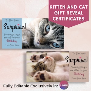 Certificado de regalo de gatito y gato, tarjeta de regalo sorpresa, anuncio de gato, totalmente editable en Canva, regalo de cumpleaños y festivo.