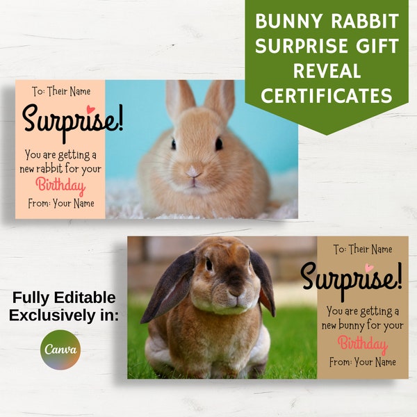 Bunny Rabbit Gift Reveal Certificate, Surprise Gift Card, Pet Bunny Announcement, Fully Editable in Canva, Birthday Valentines Easter Gift