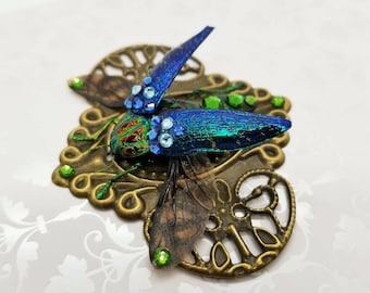 Real Blue Rainbow Jewel Beetle con cristales Swarovski