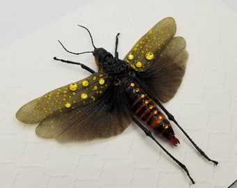 Saltamontes realmente colorido con cristales Swarovski