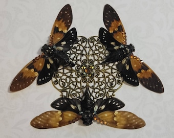 Real Cicadas with Swarovski Crystals