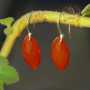 Raw Carnelian Earring 925 Sterling Silver Earring Carnelian Gemstone Earring Handmade Silver Jewelry Earring Gift For Her EE7