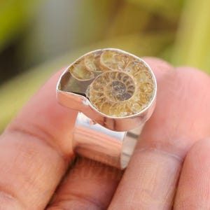 Ammonite Fossil Ring – Handmade Statement Ring – Natural Nautilus Fossil Jewelry – Adjustable Fossil Ring – Unique Gift for Him & Her ABR28